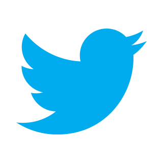 Twitter Clone Logo